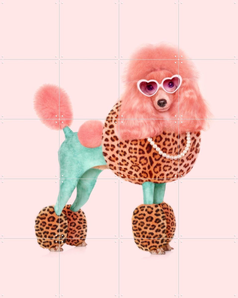 IXXI Funky Poodle, Paul Fuentes - 80 x 100 cm - Gratis ophangtool - Grote wanddecoratie en posters - Fotografie, Digitale Kunst, Pop art, Speels