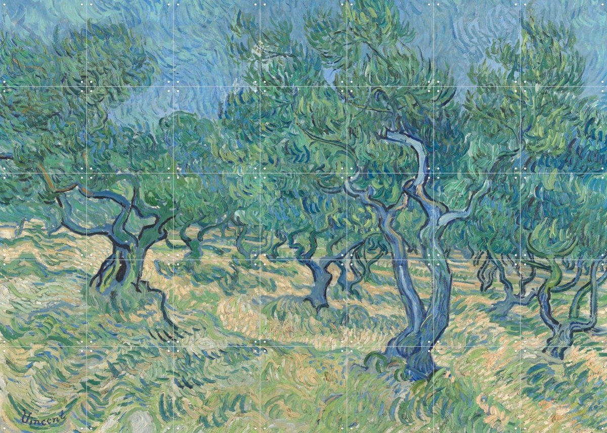 IXXI Olijfgaard, Vincent van Gogh (1853 - 1890) & Kröller-Müller Museum - 140 x 100 cm - Gratis ophangtool - Grote wanddecoratie en posters -