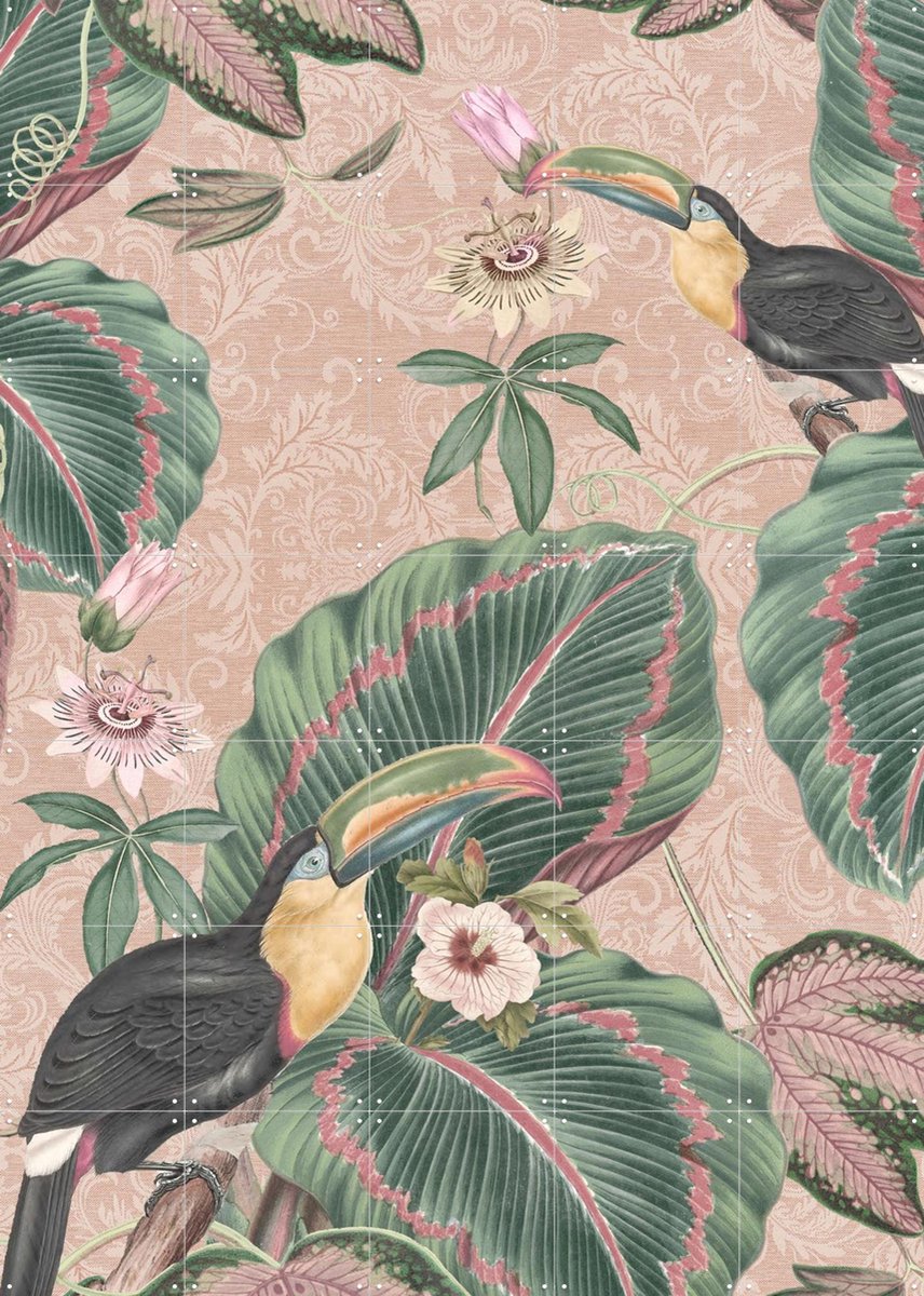 IXXI Tropical Jungle Toucans, Bloomery Decor - 100 x 140 cm - Gratis ophangtool - Grote wanddecoratie en posters - Kleurrijk, Naturalisme, Vintage