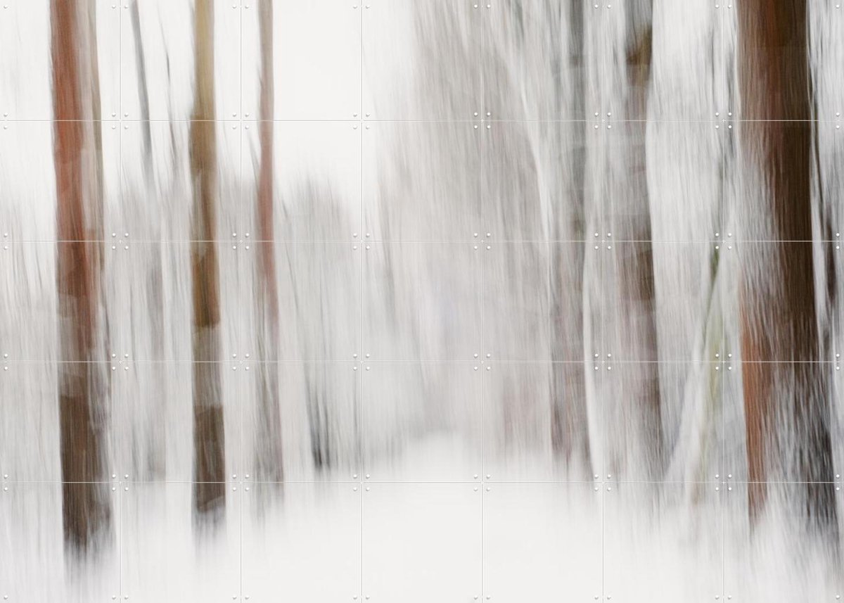IXXI Snow in the Forest, Photolovers - 140 x 100 cm - Gratis ophangtool - Grote wanddecoratie en posters - Abstract, Impressionisme, Fotografie