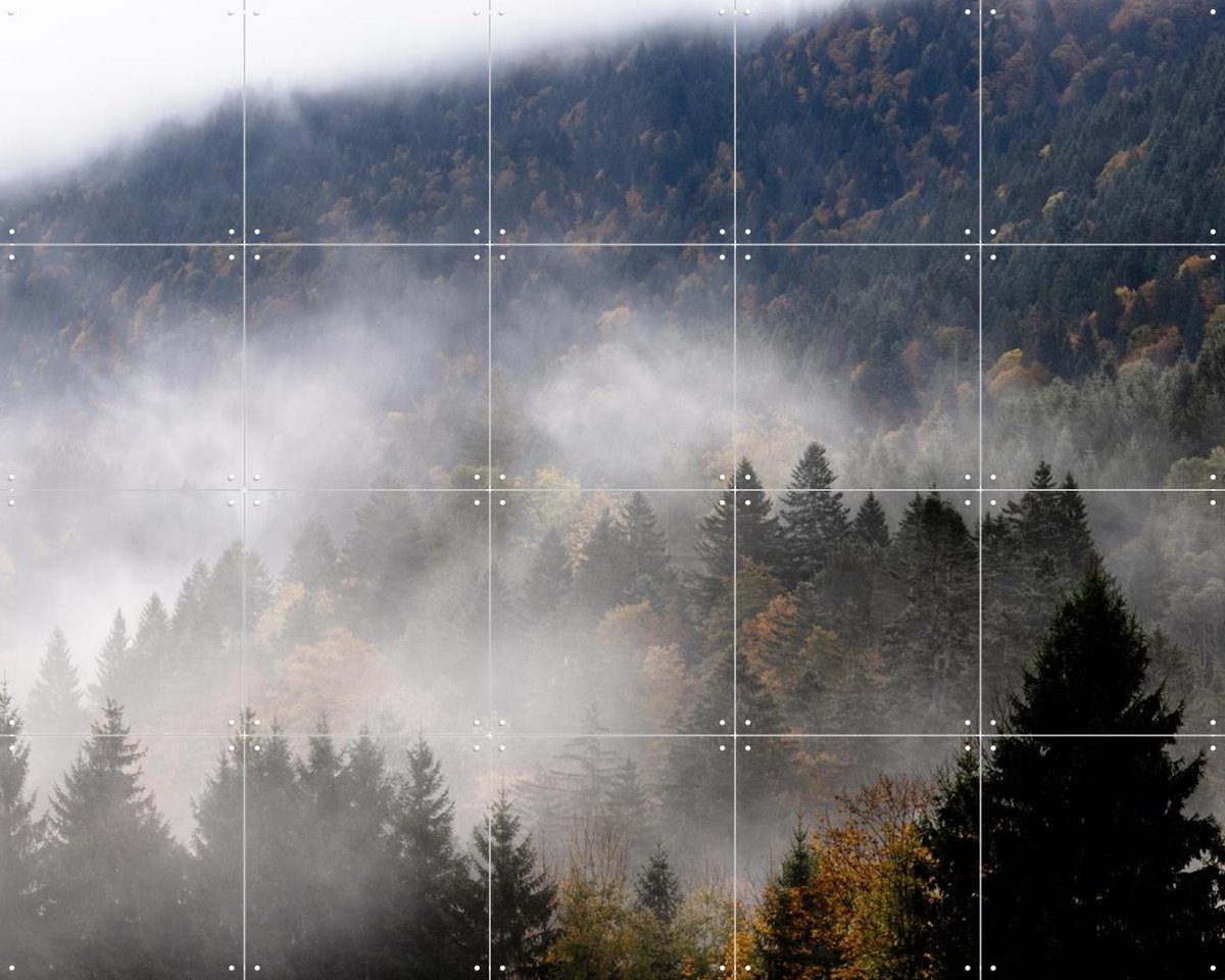 IXXI Foggy Woods 9, Mareike Böhmer - 100 x 80 cm - Gratis ophangtool - Grote wanddecoratie en posters - Naturalisme, Fotografie, Realisme, Woonkamer