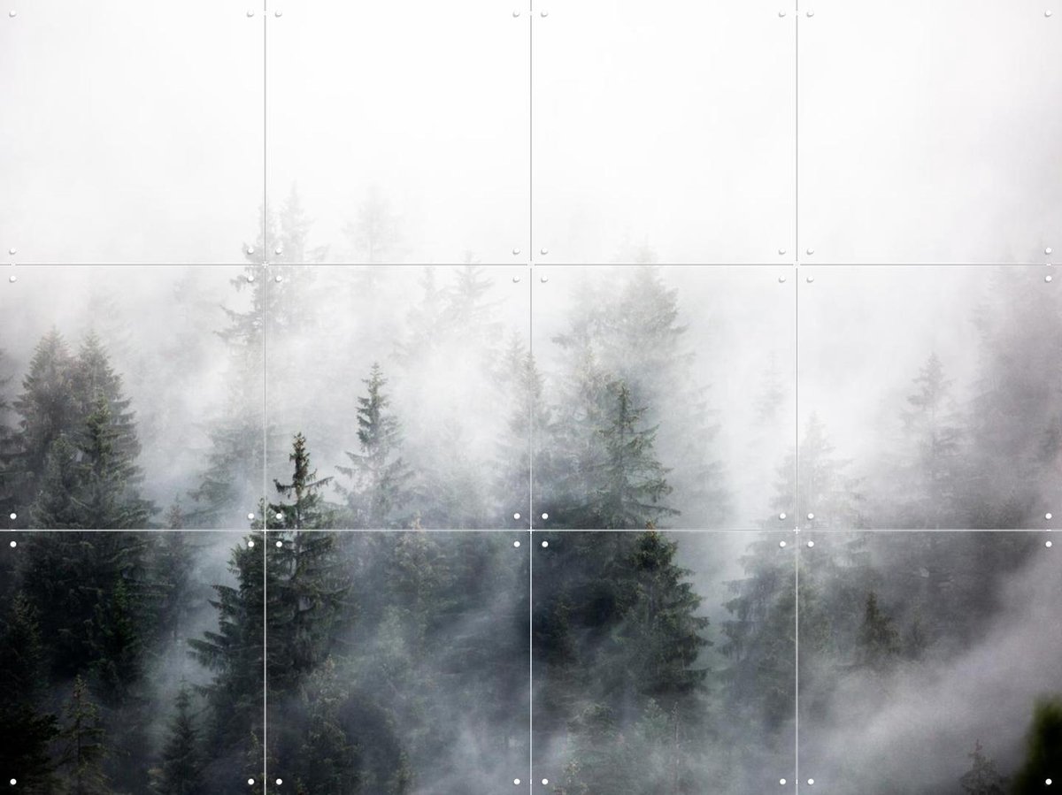 IXXI Foggy Woods 6, Mareike Böhmer - 80 x 60 cm - Gratis ophangtool - Grote wanddecoratie en posters - Grafisch Ontwerp, Naturalisme, Fotografie