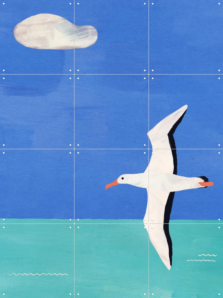 IXXI Albatross, Ocean and Cloud, Henry Rivers - 60 x 80 cm - Gratis ophangtool - Grote wanddecoratie en posters - Kleurrijk, Illustraties, Speels