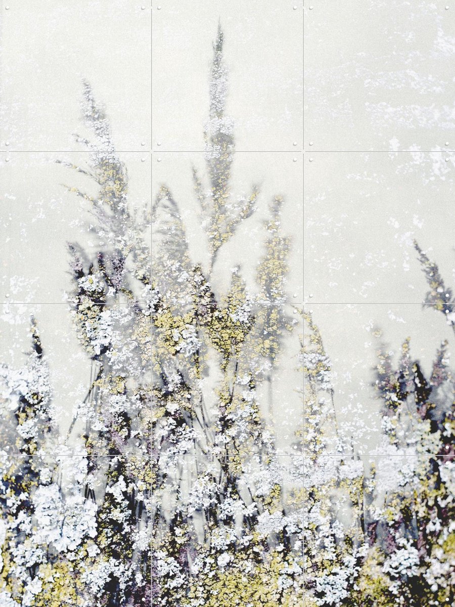 IXXI Winter Reed, Photolovers - 60 x 80 cm - Gratis ophangtool - Grote wanddecoratie en posters - Naturalisme, Minimalisme, Aquarel, Fotografie