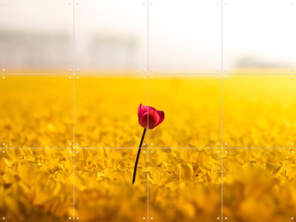 IXXI Dutch Rebels Idealist, Claire Droppert - 80 x 60 cm - Gratis ophangtool - Grote wanddecoratie en posters - Minimalisme, Fotografie, Naturalisme