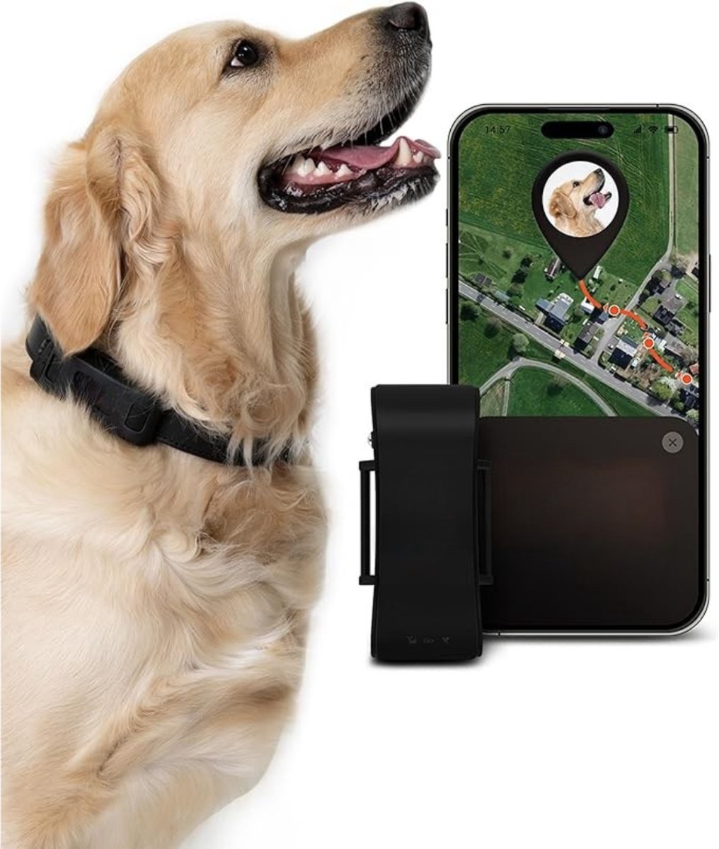 Aura® GPS Tracker kat - GPS Tracker - GPS Trackers - Zwart - 8cm x 4cm x 2cm