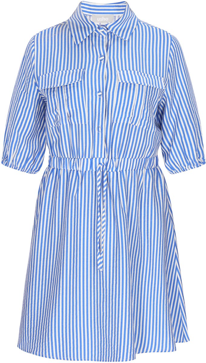 usha Dress