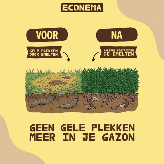 Voor en na behandeling van gazon: zonder emelten en met gezonde planten.