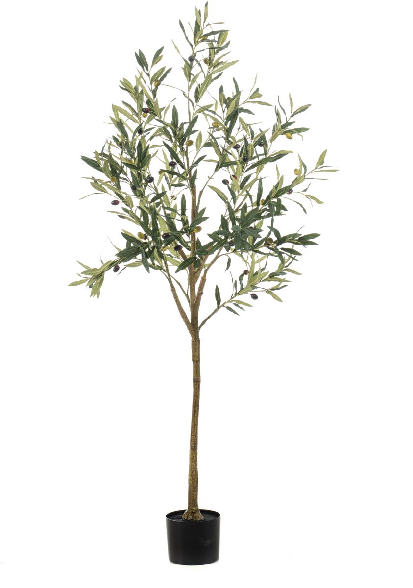 Fleurdirect Kunstplant Olive - Realistische Kunstboom voor Thuis & Kantoor Groen