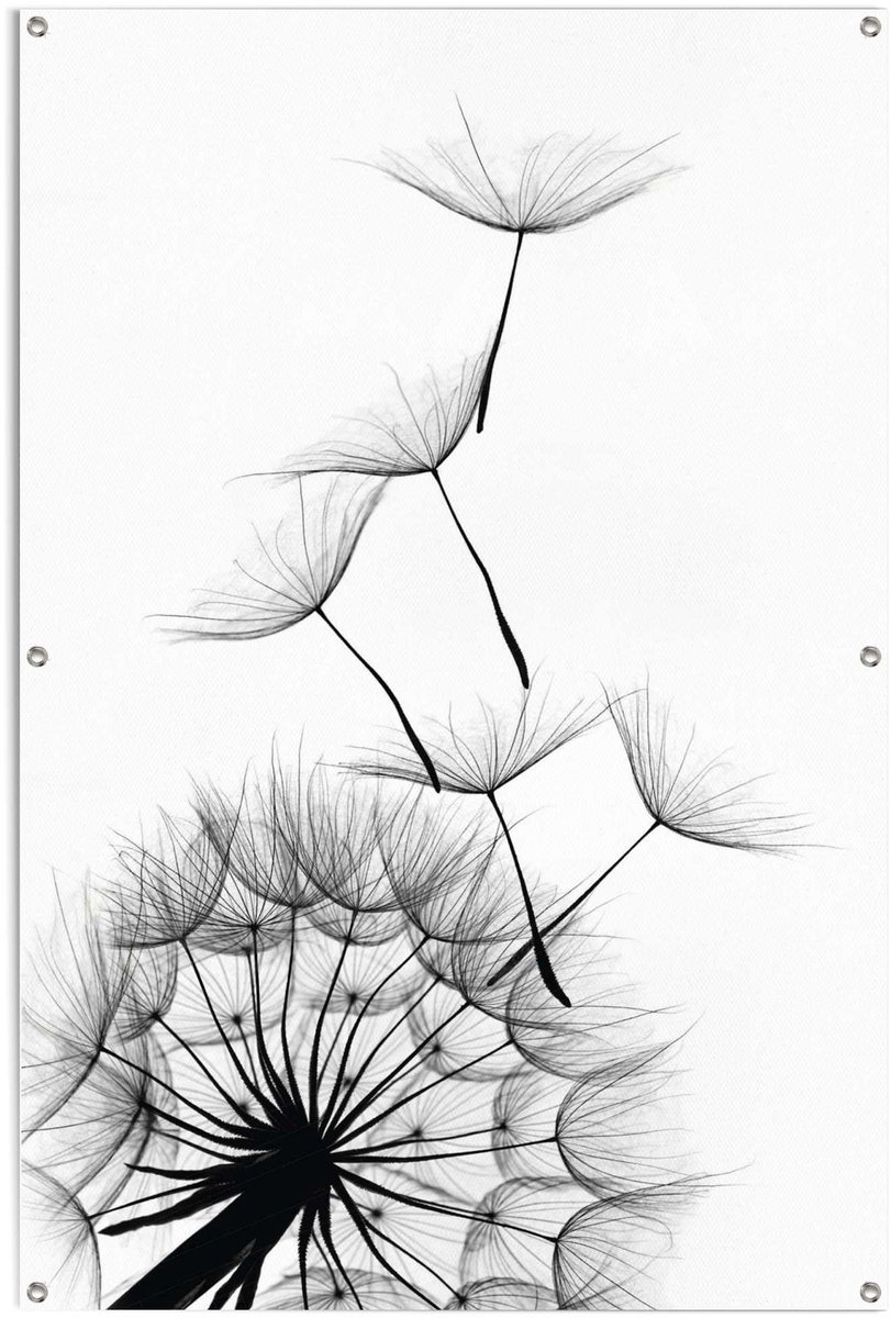 Tuinposter Paardenbloem - 120 x 80 - Canvas - REINDERS