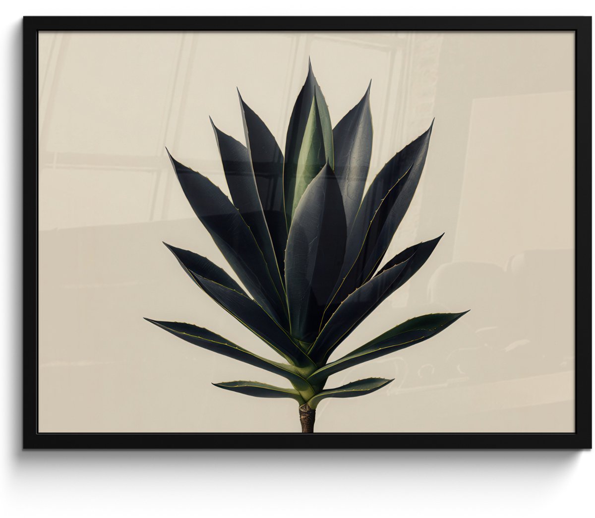 FrameYourWall Poster in lijst - Fotolijst 70x50 cm - Posters - Agaveplant - Symmetrisch - Groen - Posterlijst zwart - Decoratie - Wanddecoratie woonkamer - Muurdecoratie slaapkamer