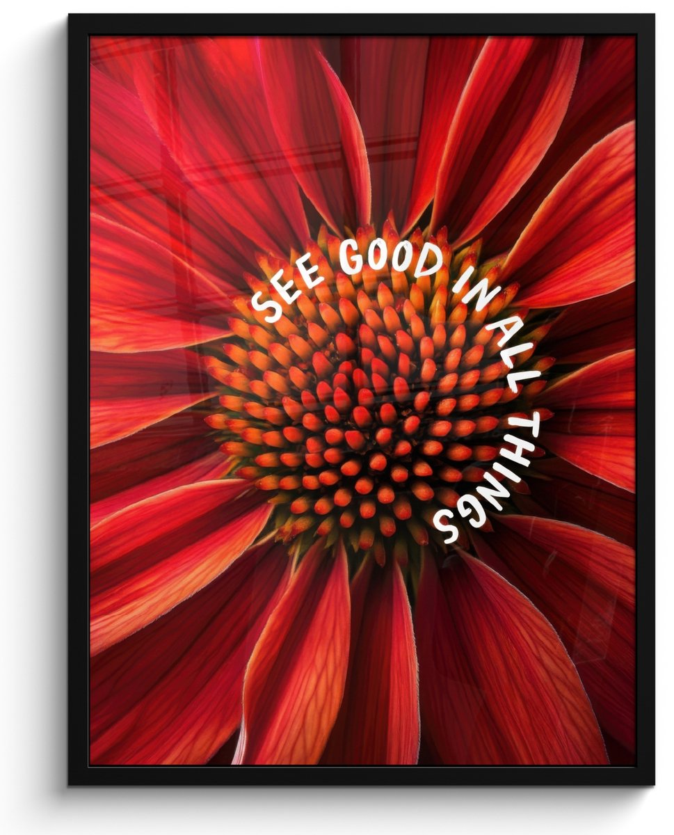 FrameYourWall Poster in lijst - Fotolijst 50x70 cm - Posters - Close up - Bloem - Quote - Rood - Posterlijst zwart - Decoratie - Wanddecoratie woonkamer - Muurdecoratie slaapkamer