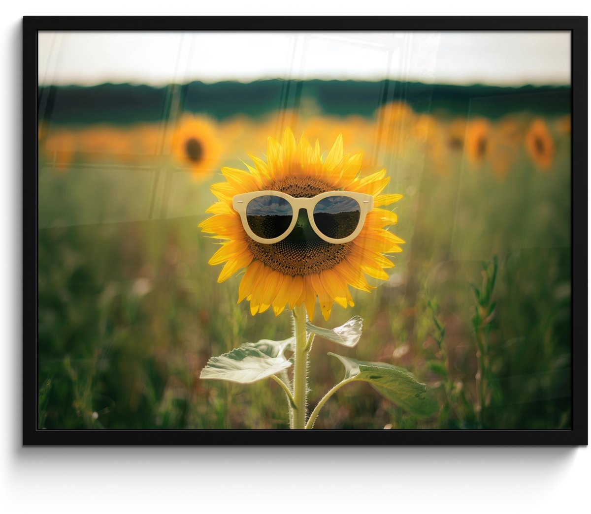 FrameYourWall Poster in lijst - Fotolijst 70x50 cm - Posters - Zonnebloem - Veld - Zonnebril - Posterlijst zwart - Decoratie - Wanddecoratie woonkamer - Muurdecoratie slaapkamer