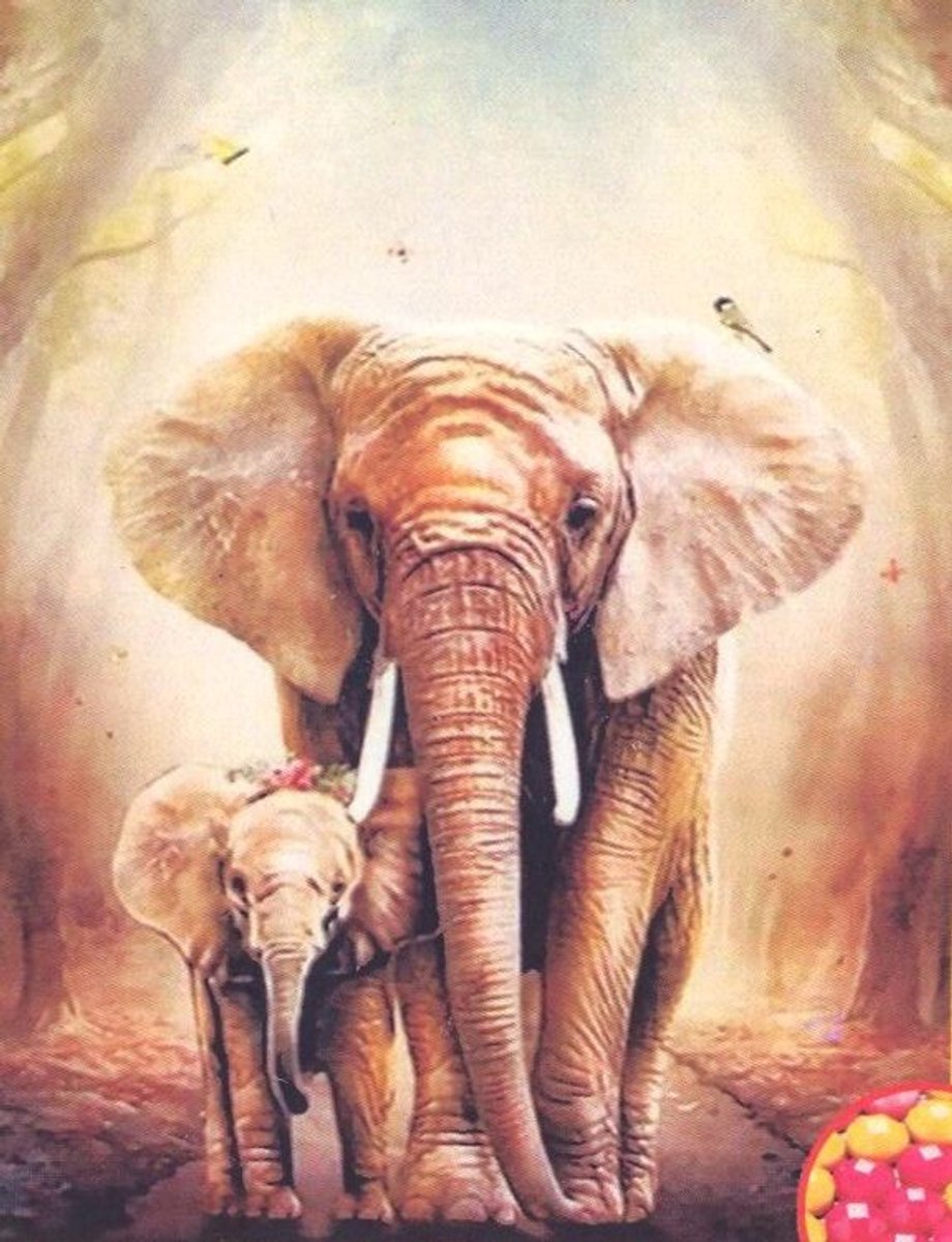 Diamond Painting Set 40x50cm - Olifanten - Full size ronde steentjes - Gratis verzonden - THD448