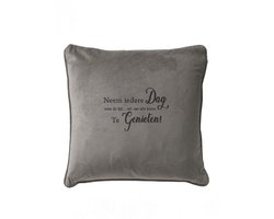Grijs sierkussen Velours - 45x45cm - Met Tekst: Neem Iedere Dag Even De Tijd Om Van Iets Kleins Te Genieten. Cadeau-verjaardag-bedankje.