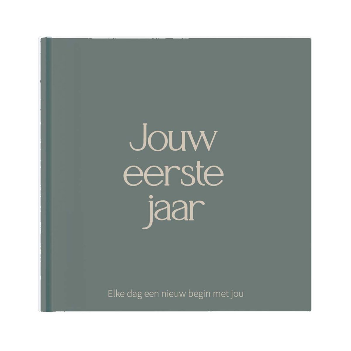 Writemoments Baby boek eerste jaar - 0-1 jaar - Groen/blauw - Baby invulboek