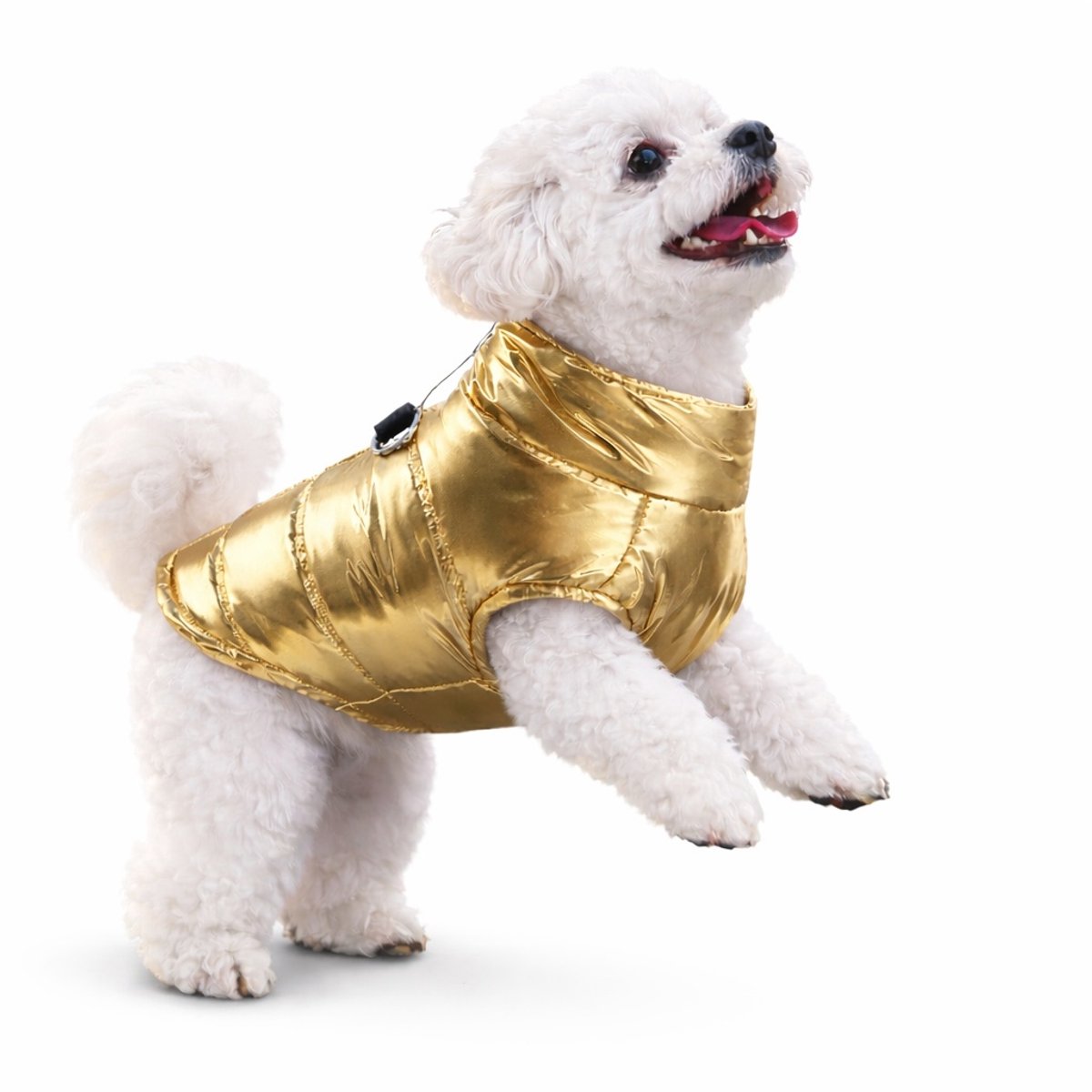 Aventrix Hondenjas Waterdicht – Regenjas Kleine Hond – Warme Puppy Jas – Maat S - Metallic Goud