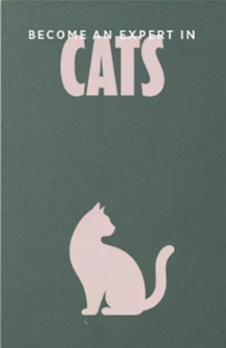 pikkii Word een expert in katten Kaartspel | Become an Expert in Cats 130 x 80 x 30 mm 1.1kgs