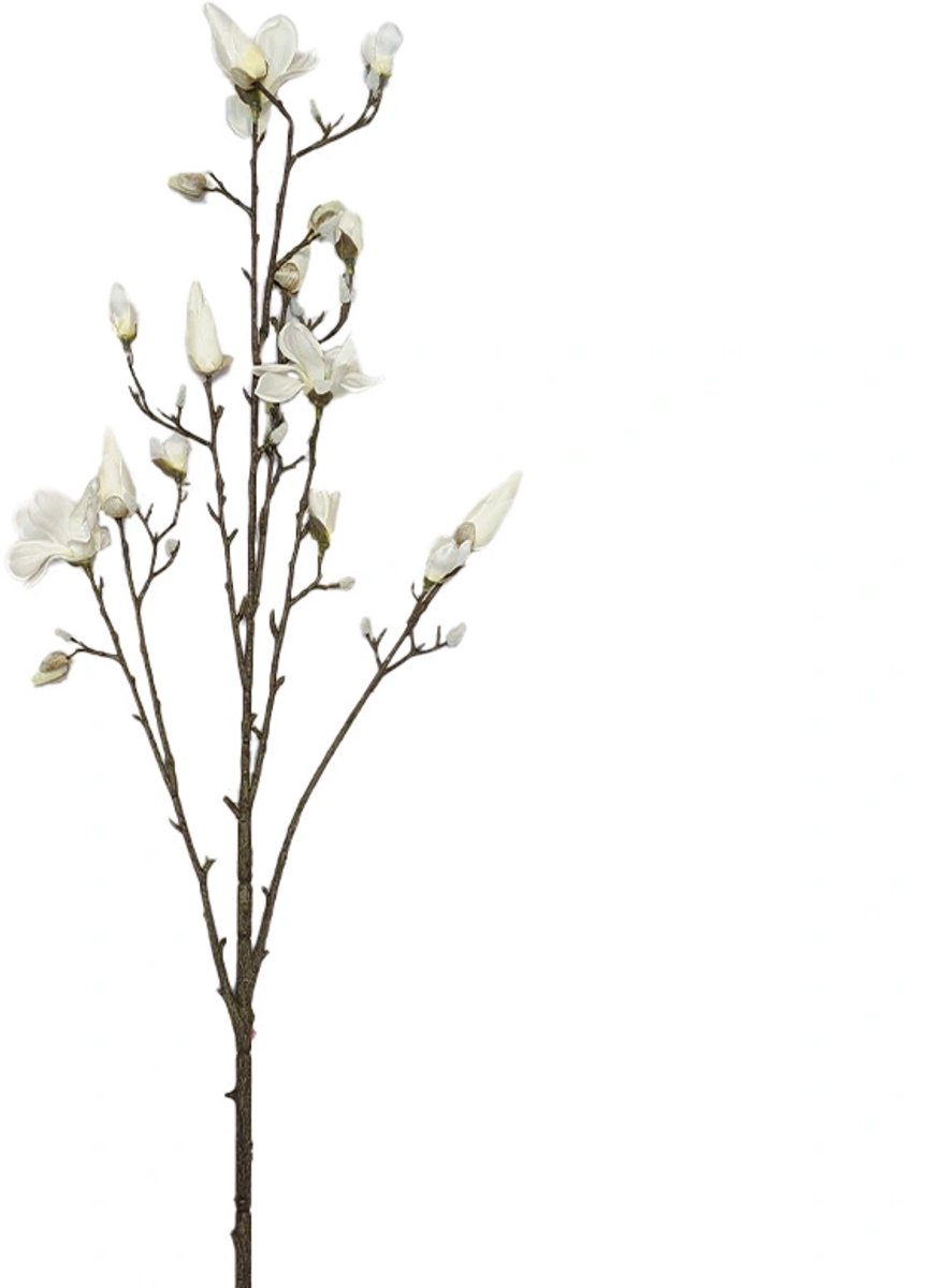 Kunsttak Magnolia Spray Cream - 155 cm