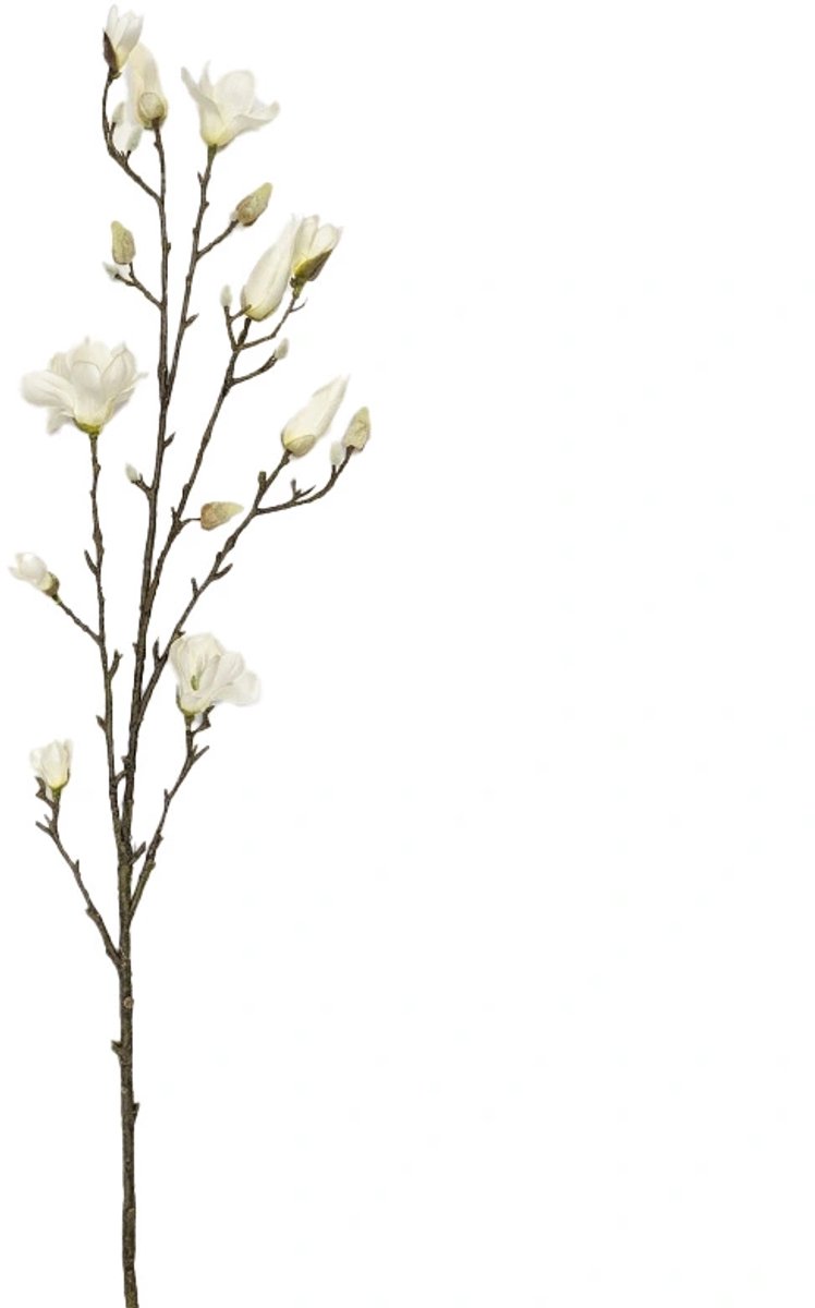 Kunsttak Magnolia Spray Cream - 135 cm