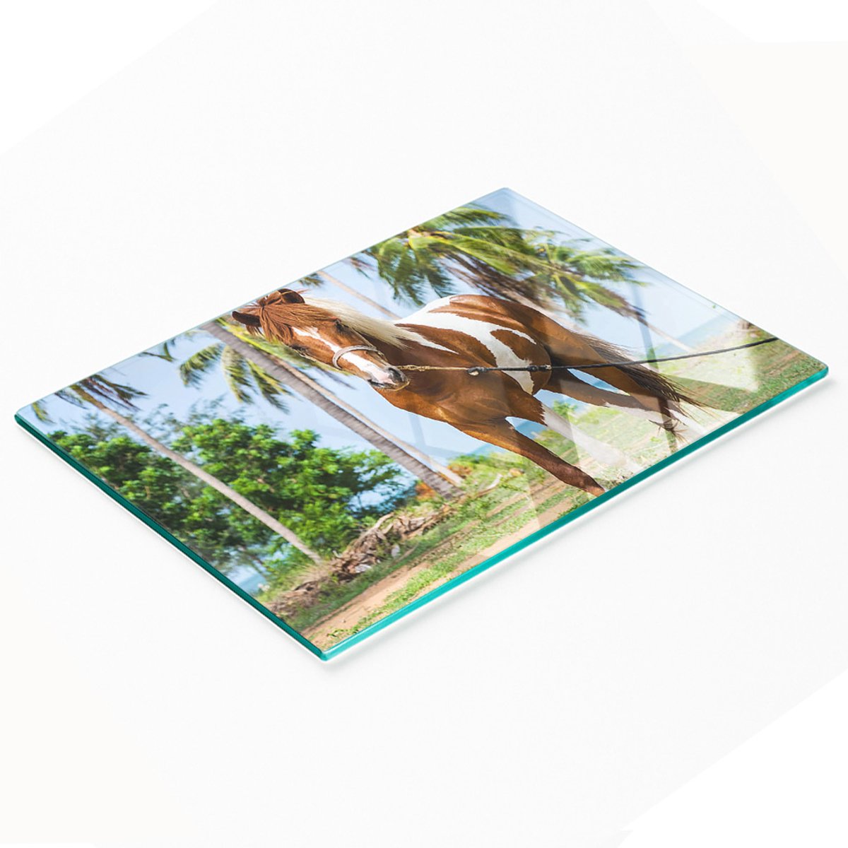 Decoratieve glazen snij- en serveerplank met Pinto-paardmotief, 80x52 cm