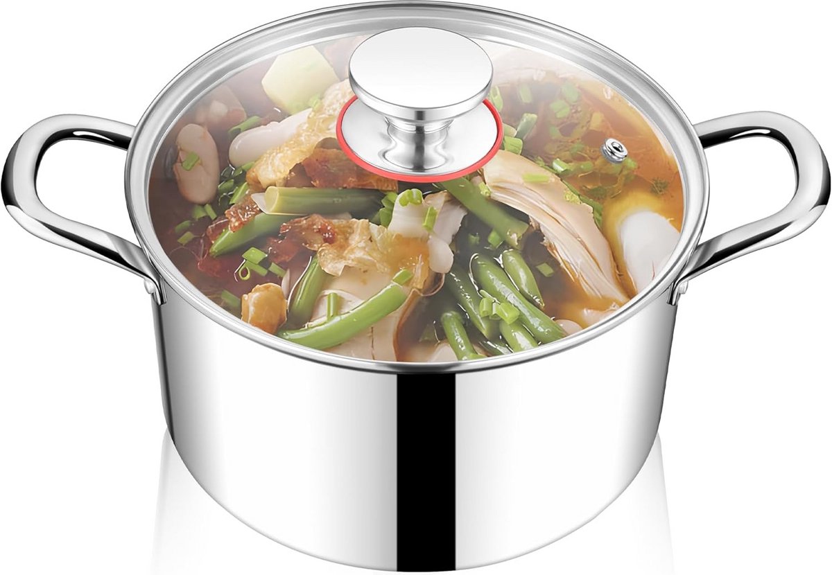 Kookpan RVS 20 cm Inductie met Glazen Deksel 3,3 Liter