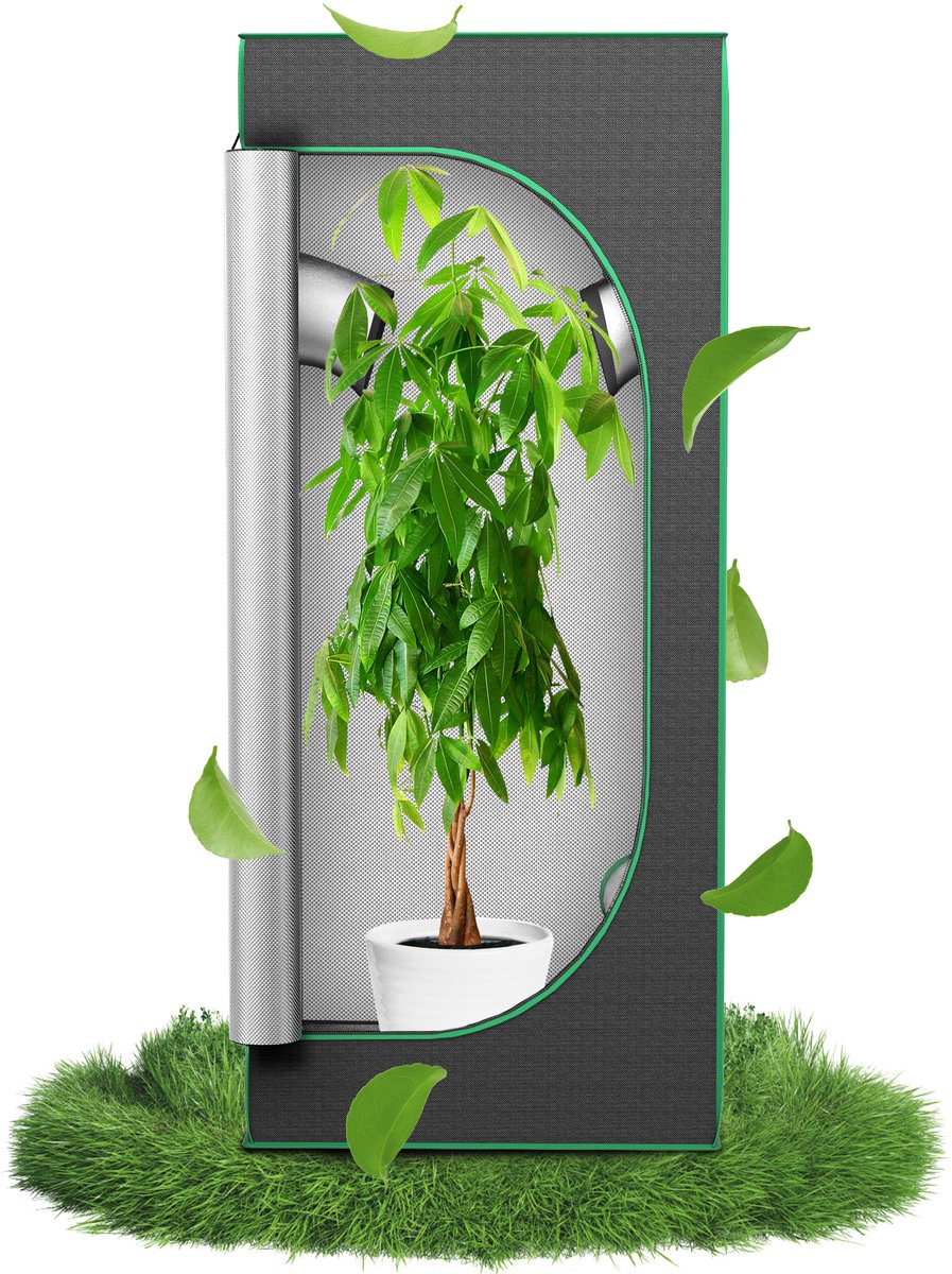 Aufun Grow tent - 60 x 60 x 140 cm - kweektent voor binnenkweek - voor kruiden, groenten en planten