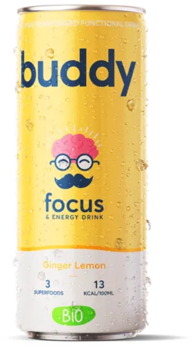 Buddy Drink Ginger & Lemon Bio – 12x 250 ml
