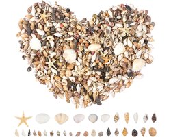 Schelpen en Zeesterren Decoratieset voor Aquarium en Knutselprojecten met 1000 stuks Schelpen - Natuurlijke Stranddecoratie - Woondecoratie en Strandthema Feestdecoratie - Decoratieve Zee-items - DIY.