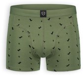 Legergroene boxershorts met een zwart dinosaurus- en cactusafrit.