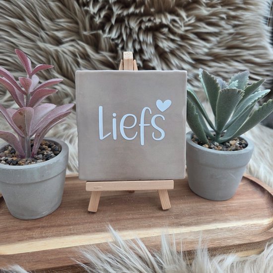 Robuust wenstegeltje “Liefs” – Keramiek 10x10 cm – Liefdevolle Wanddecoratie & Cadeau – teksttegel liefde – roze keramiek tegel – cadeau vriendin – decoratieve tegel met tekst – woondecoratie quotes – kleine tegel met spreuk – romantisch cadeau