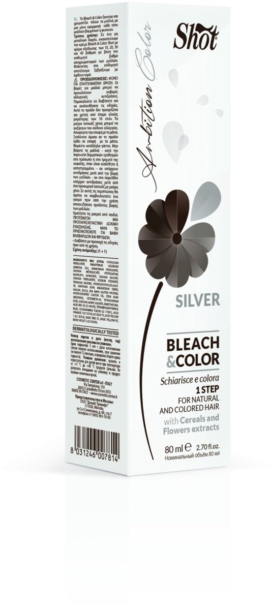 B&C SILVER PAINT 80ML ATECH SHOT