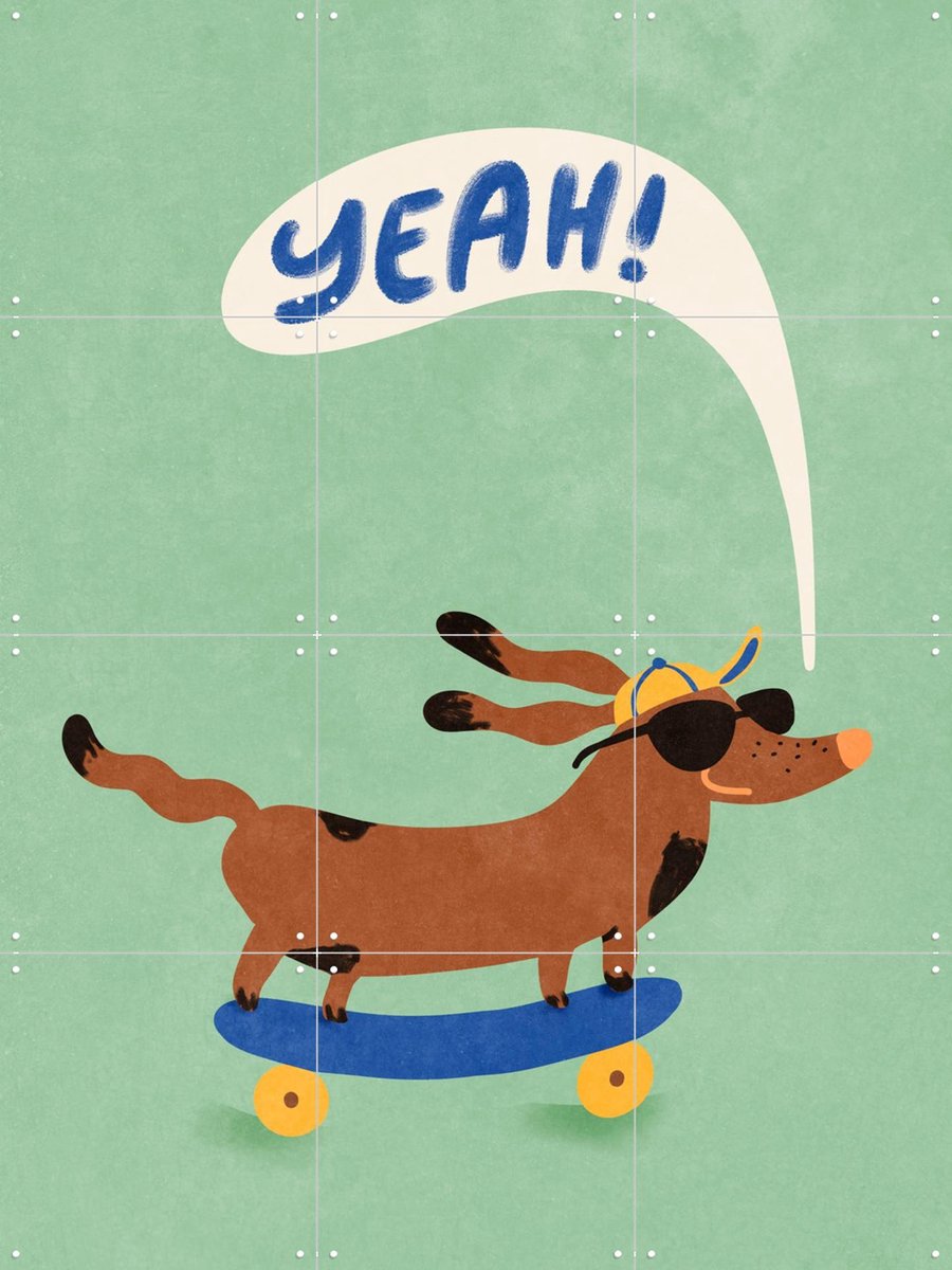 IXXI Cool Dog On Skateboard, Raissa Oltmanns - 60 x 80 cm - Gratis ophangtool - Grote wanddecoratie en posters - Illustraties, Speels, Kleurrijk