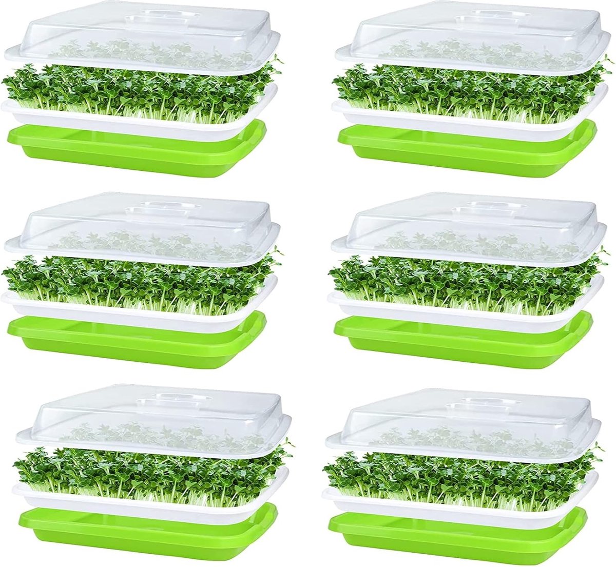 Famanu – Kiembakjes voor kiemen - zaadjes - bak - 32 x 26 cm - met deksel - voor grote zaadjes - voor kweken van mungbonen - alfalfa - tarwegras