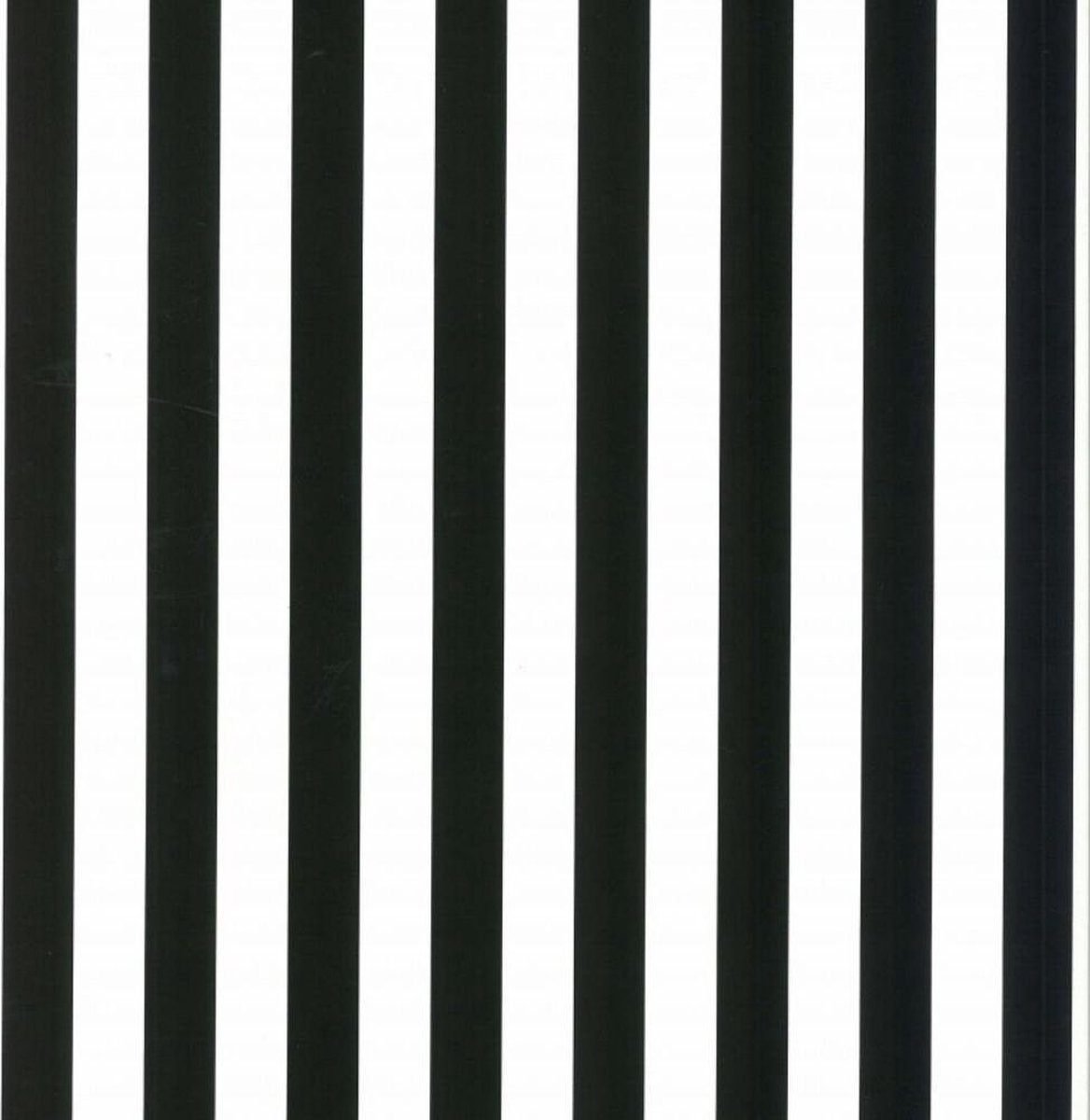 Behang Zwart - Wit - Strepen - Vliesbehang - 0,53x10m