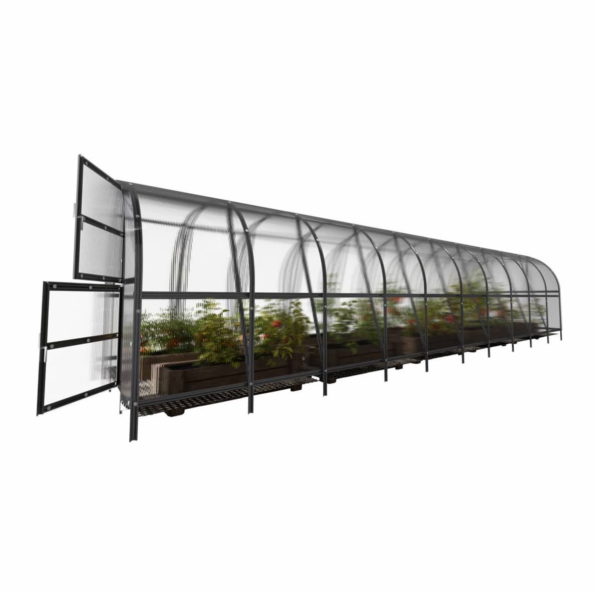 Klasika Serre en polycarbonate 3x12m 36m² Baltic LT