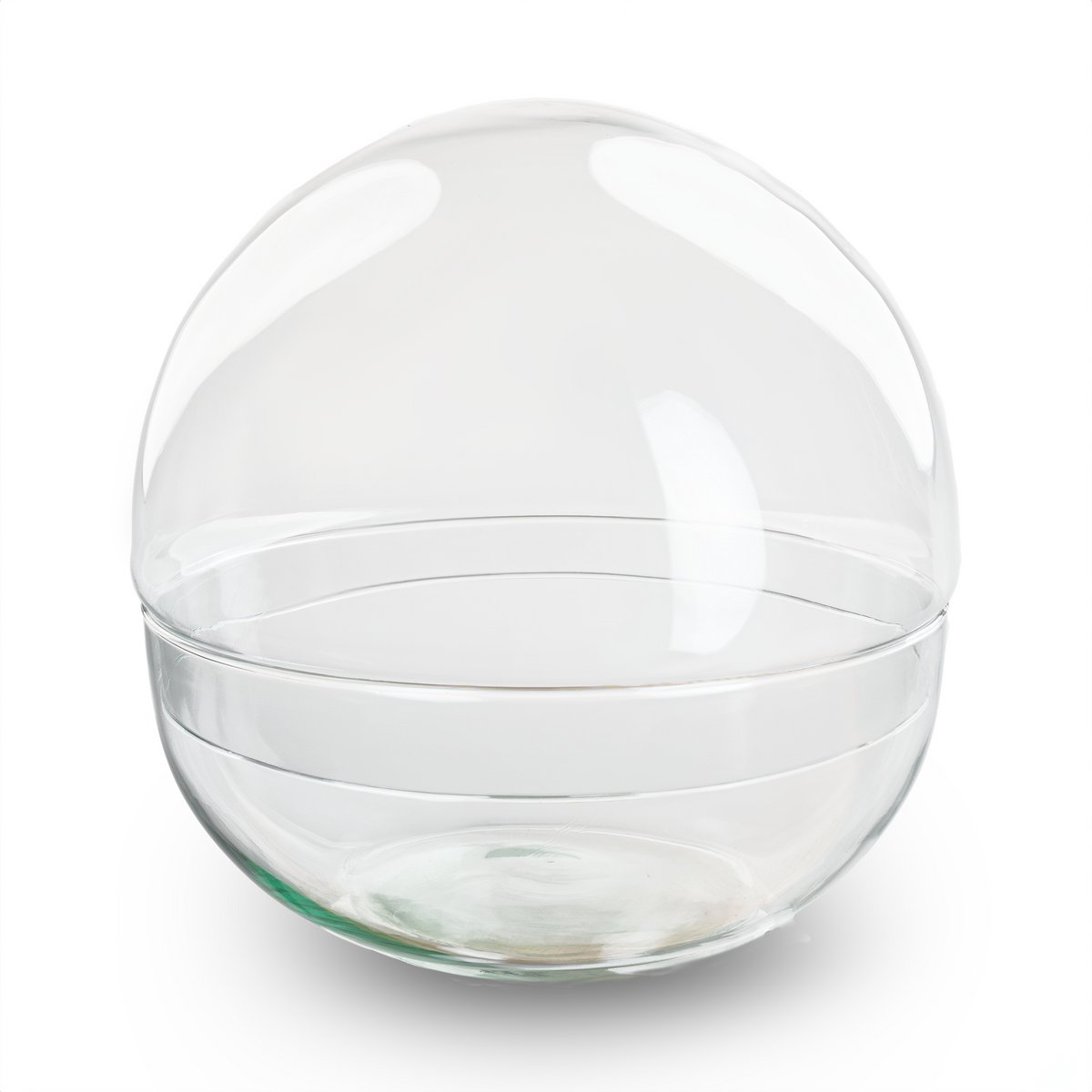 Dome XL - DIY Terrarium Online | Florazo