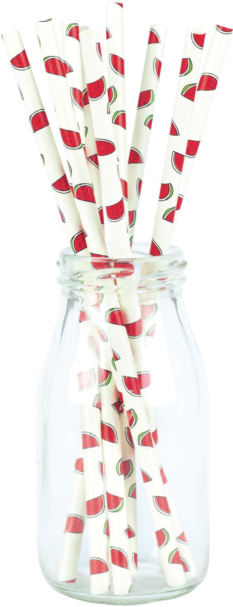 PARTYPRO - 10 verse watermeloen papieren rietjes 20 cm voor cocktails