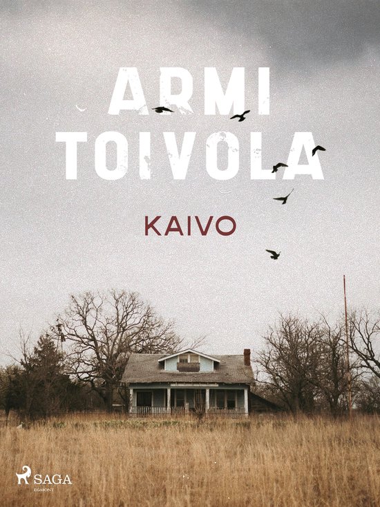 Kaivo - cover