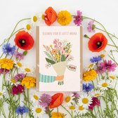 Blossombs Bloembommetjes Giftbox Mini - 4 Zaadbommetjes - Boeket - Bos Bloemen Cadeau