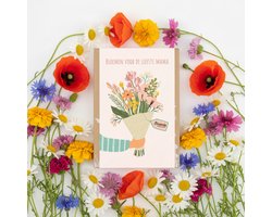 Blossombs Bloembommetjes Giftbox Mini - 4 Zaadbommetjes - Boeket - Bos Bloemen Cadeau