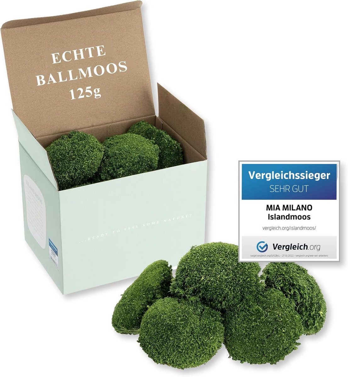 Geconserveerd Bolmos Natuurlijk Groen 125g voor Moswanden en Knutselen