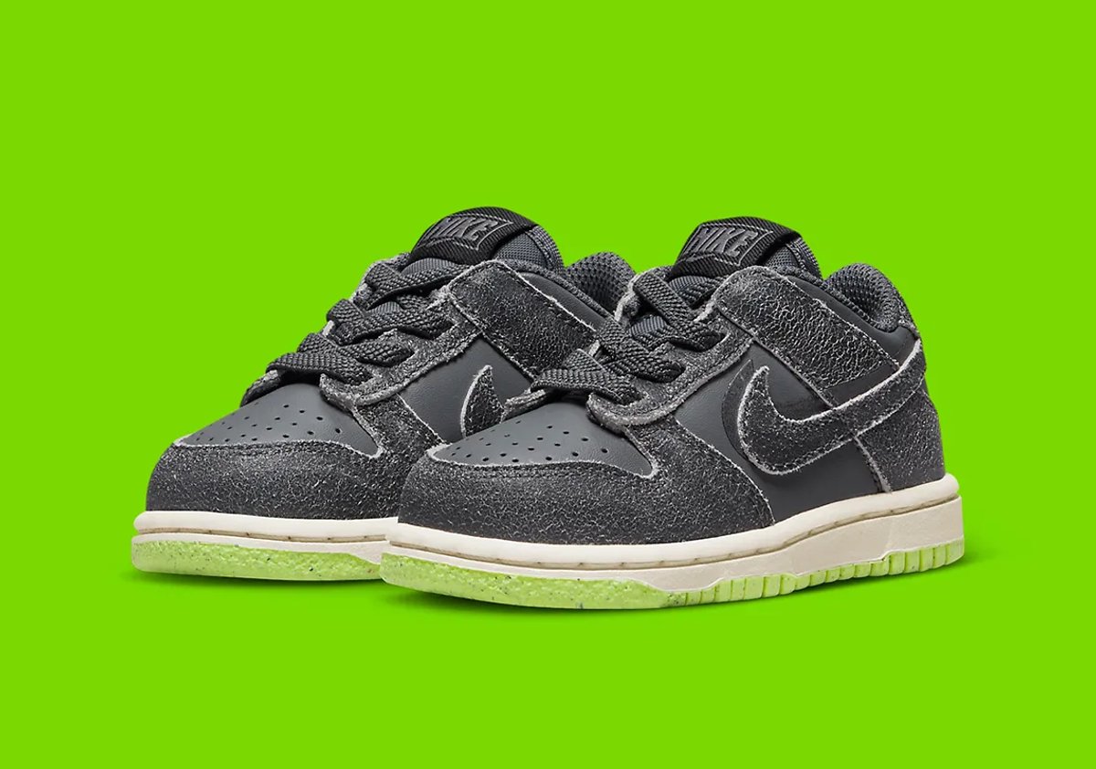 Nike Dunk Low SE 25 Grijs
