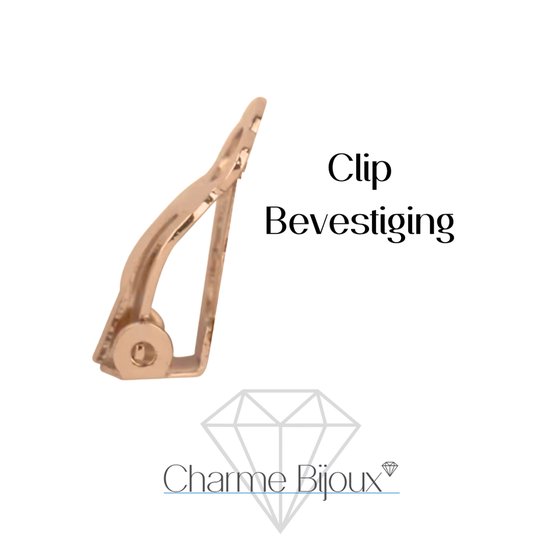 Gouden clip-oorbellenbevestiging, type 'clip', met de tekst 'Clip Bevestiging'.
