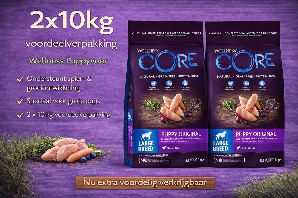 Wellness Core Wellness Core Grain Free Large Breed Puppy Kip - Hondenvoer - 2x 10 kg Voordeelverpakking