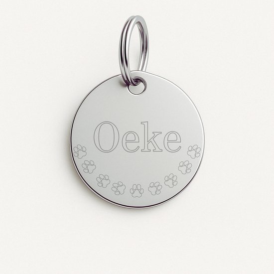 VILLCASE 50 Stuks label gekleurde etiketten katten tag hond