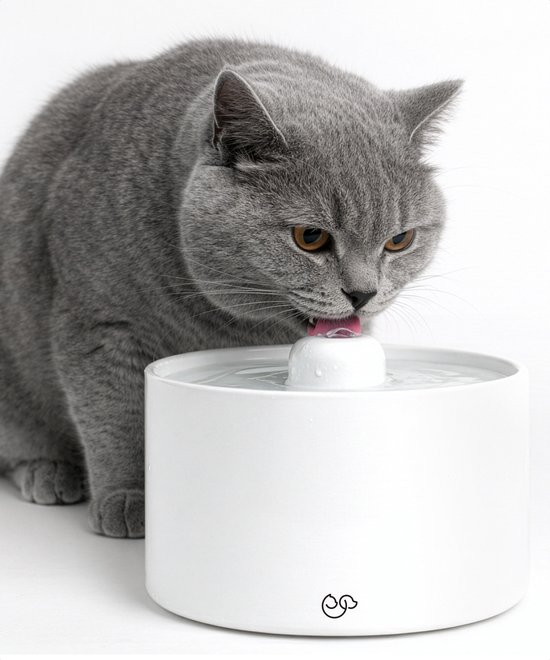 Grijze kat drinkt uit witte drinkfontein