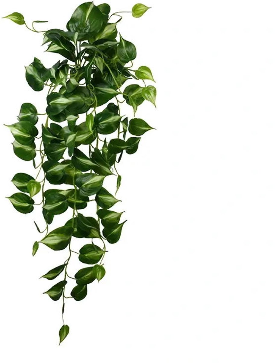 Buitengewoon de boet - Scindapsus aureus 90 cm kunstplant