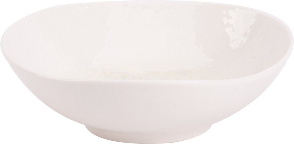 Maastricht Porselein Schaal Aqua Mineralis Organic 15 cm 35 cl 2 stuks