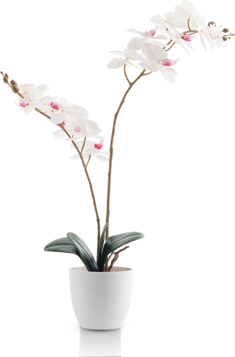 Meisterhome Kunstorchidee 65 cm – Realistische Phalaenopsis Orchidee – Bloeiende Kunstplant – Onderhoudsvrij – Witte Bloemen – In Pot – Luxe Woondecoratie